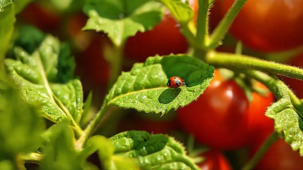 7 Estratégias Naturais para Eliminar Pragas na Horta Orgânica Sem Químicos