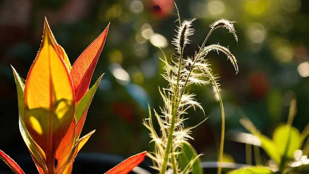 7 Passos Essenciais: Como Evitar Estiolamento em Suas Plantas Ornamentais?