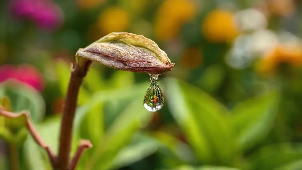 7 Passos Essenciais: Resgate Plantas Ornamentais com Estresse Hídrico Severo