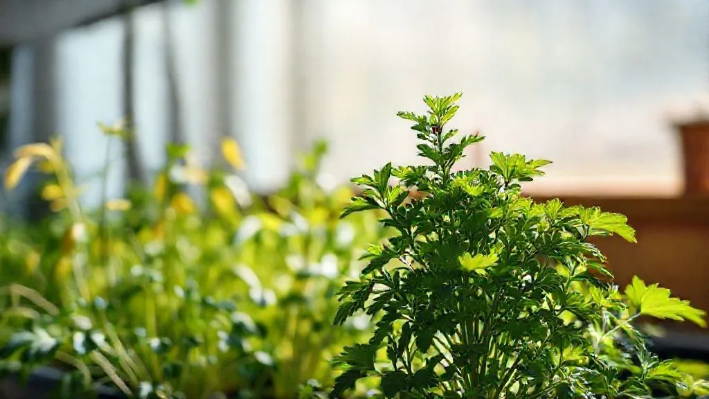 7 Soluções Essenciais: Como Reverter o Lento Desenvolvimento de Plantas na Horta Indoor?