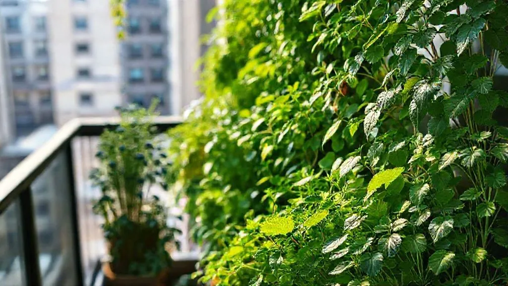 Sombra no Apartamento? 7 Estratégias para Horta Vertical Produtiva Agora!